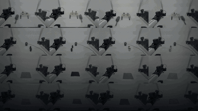 wu_2026_imprint.gif
