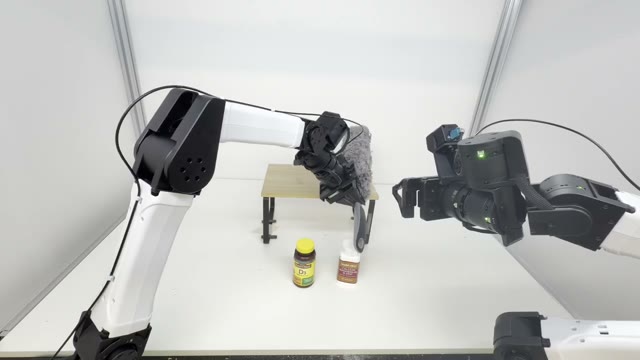 Current head-camera observation from the Dust Table rollout