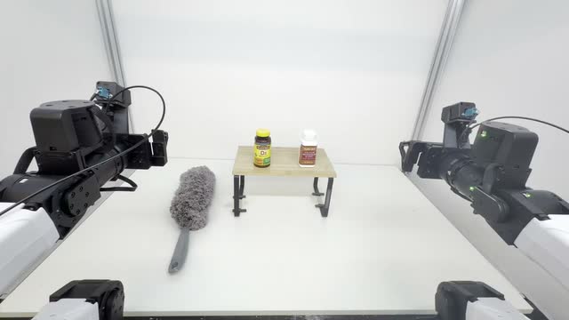 Initial Dust Table head-camera observation