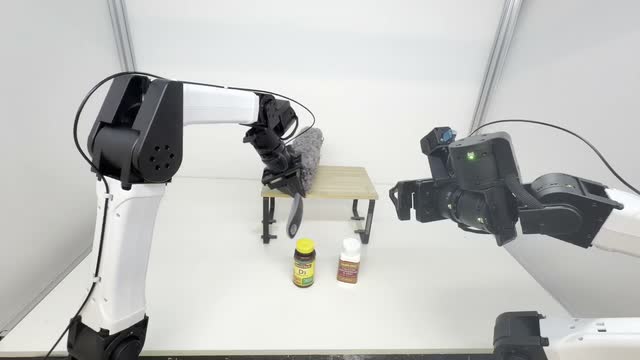 Dust Table head-camera observation two steps before the selected timestep