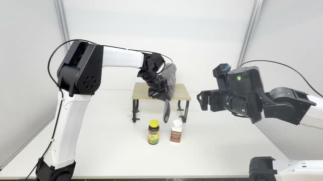 Dust Table head-camera observation one step before the selected timestep